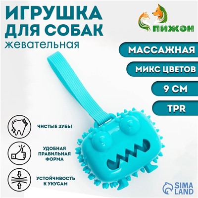 Игрушка под лакомства для собак "Квадратный монстр" 9 см, ТПР, микс цветов