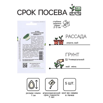 Семена огурца  "Шоша", F1, 5 шт.