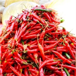 Перец Пепперони Итальянский Классический — Pepperoni Pepper (10 семян)