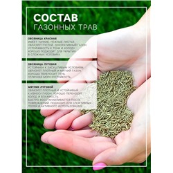 Газон «Гном» 5 кг