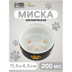 Миска керамическая «Веселый котик», 200 мл, 10.5×9.5×5 см