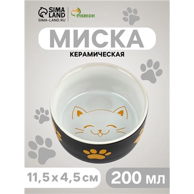 Миска керамическая «Веселый котик», 200 мл, 10.5×9.5×5 см