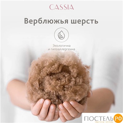 CASSIA  Подушка стег КАЛАХАРИ 50х70,1пр.,хл./вербл.шерсть/микровол.