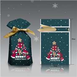 Пакет новогодний с атласной лентой для подарков и конфет 23*15 см. Merry Christmas