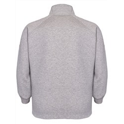 Толстовка мужская 332F63