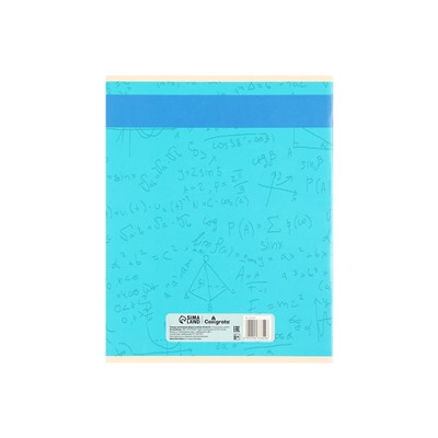 Набор предметных тетрадей Calligrata TOP «Журнал», 10 предметов, 48 листов, со справочным материалом, картонная обложка