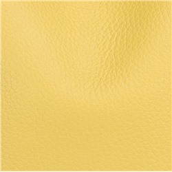 DOLAND LION  Сумка женская / кожа / 1638