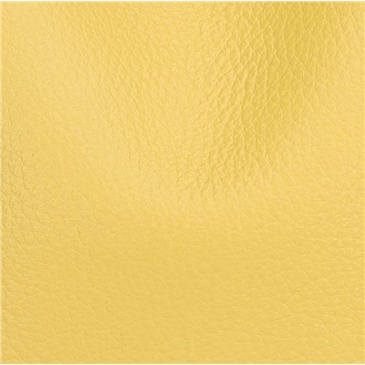 DOLAND LION  Сумка женская / кожа / 1638