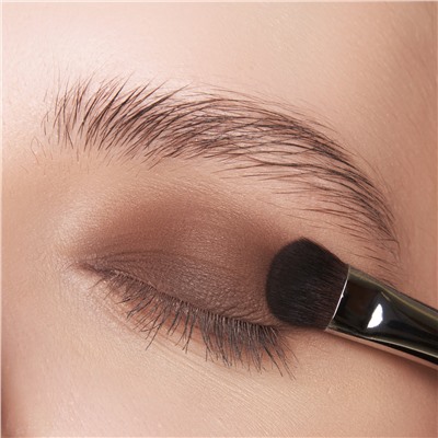 Тени матовые С107 Мокко