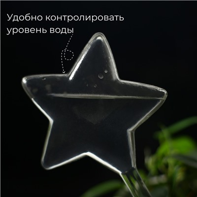 Автополив для комнатных растений «Звезда», 100 мл, ПВХ, Greengo