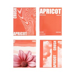 Тетрадь 96 листов в клетку, Calligrata Apricot Crush, МИКС