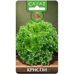 Салат Криспи