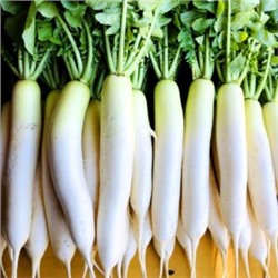 Аокуби Дайкон — Aokubi Daikon — 青首大根 (50 семян)
