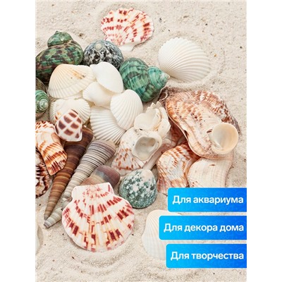 Набор ракушек «Пижон Аква», 200 г, микс №1