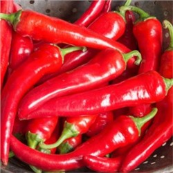 Острый Перец из Сухума (10 семян)