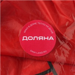 Корзина - сетка складная Доляна «Божья коровка», 32×32×52 см, красная