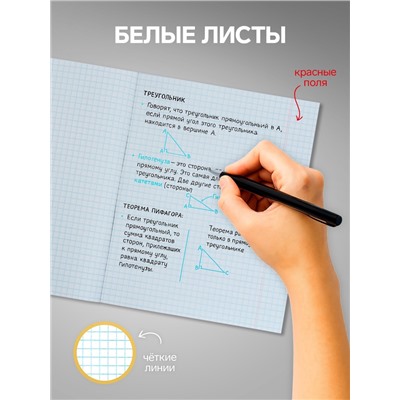 Набор тетрадей 36 листов в клетку, Calligrata «Кактус», 5 штук