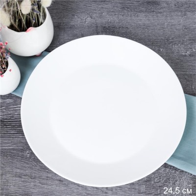Тарелка обеденная 240 мм Евро/Дэй белая / FLMLQP95 (WHITE) /уп 6/36/ 730034