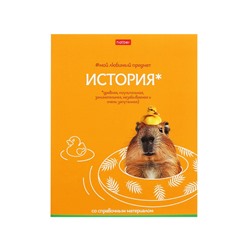Набор предметных тетрадей 48 листов, 12 предметов Hatber «Мой любимый предмет»
