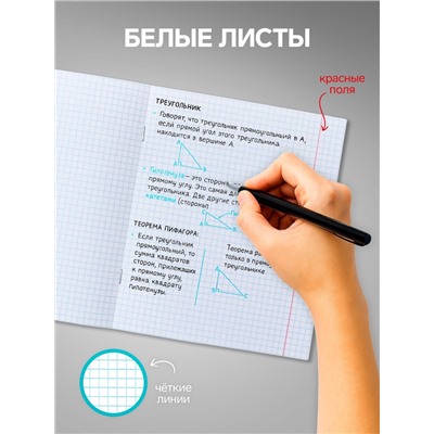 Набор тетрадей, 48 листов в клетку, Calligrata «В розовых очках», серые листы, 5 штук