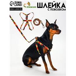 Комплект «Камуфляж», ОШ 16.5-27, ОГ 21-35 см, 120×1 см, капрон, красно-чёрно-зеленый