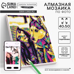 Алмазная мозаика по фото с полным заполнением «Pop Art», на холсте с подрамником, 40 × 50 см