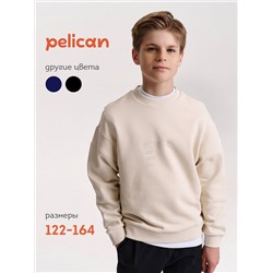 PELICAN Толстовка