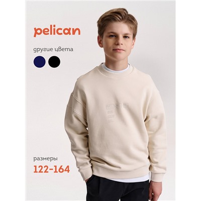 PELICAN Толстовка