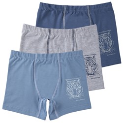 3106 Боксеры для мальчика многоцвет (BAYKAR)