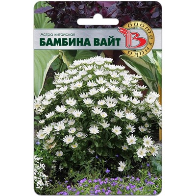 Астра китайская Бамбина Вайт