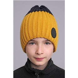 Шапка 1040990