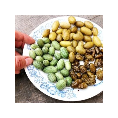 Кукамелон — Мексиканский Огурчик — Cucamelon (10 семян)