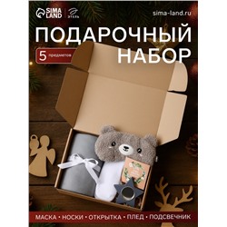 Набор подарочный новогодний «Этель» Merry Christmas: плед и аксессуары