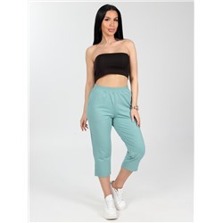 Портленд - бриджи фисташковый