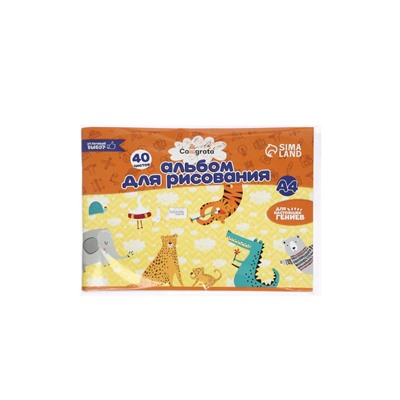 Набор альбомов для рисования Calligrata, 2 штуки, А4, 40 листов, на скрепке