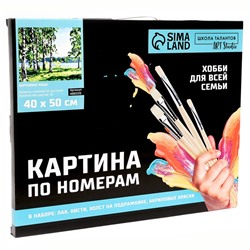 Картина по номерам на холсте с подрамником «Березовая роща», 40 х 50 см
