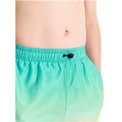 PELICAN Шорты плавательные BWHE3369