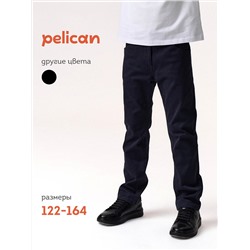 PELICAN Брюки BWP7124