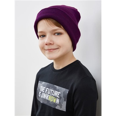 237221 MARK FORMELLE Шапка
