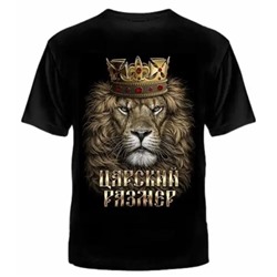 Футболка мужская 1496
