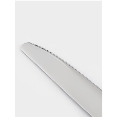Нож столовый Magistro «Олин», длина 22.7 см, нержавеющая сталь, серебристый