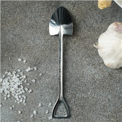 Ложка десертная Magistro «Лопата», длина 15.5 см, нержавеющая сталь, серебристая