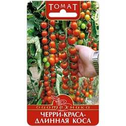 Томат Черри-Краса - Длинная Коса