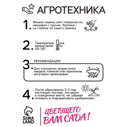 Семена цветов Пентас ланцетовидный "Микс F1", 0,003 г. в амп.