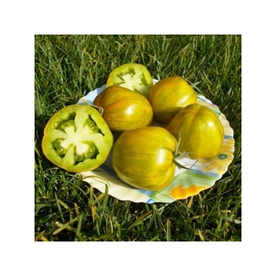 Помидоры — Green Bell Pepper — Перцевидный Зелёный (10 семян)