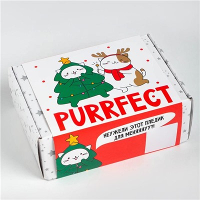 Набор подарочный новогодний «Этель»: плед, носки, 2 игрушки, открытка