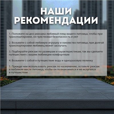 Рюкзак-переноска для кошек и собак, оксфорд + пвх, 35 х 23 х 30 см, белый/оранжевый