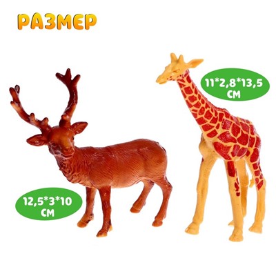Набор животных «Дикие», 12 штук