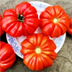 Помидоры Марманд от Мадам Гарньер из Парижа — MARMANDE GARNIER Tomatoes (10 семян)
