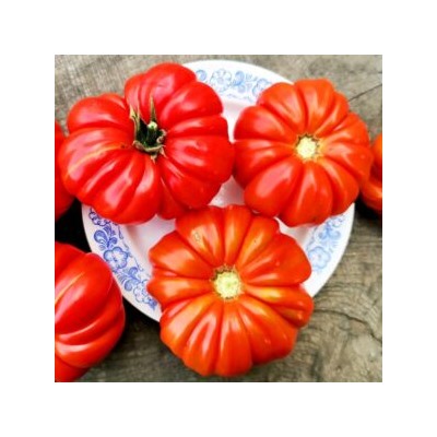 Помидоры Марманд от Мадам Гарньер из Парижа — MARMANDE GARNIER Tomatoes (10 семян)